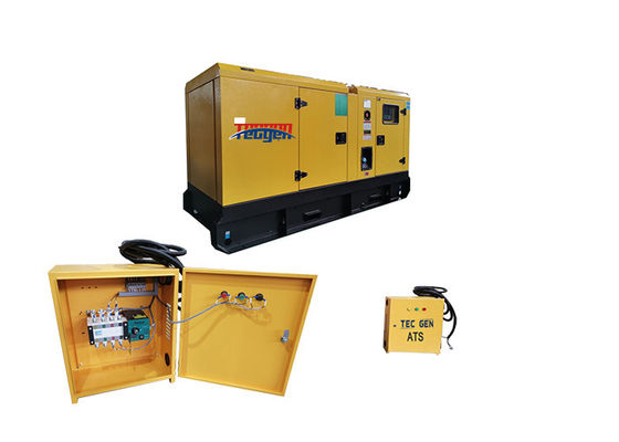 63kVA Yangdong Engine Genset Automatic Start Diesel Generator With 100A ATS Box